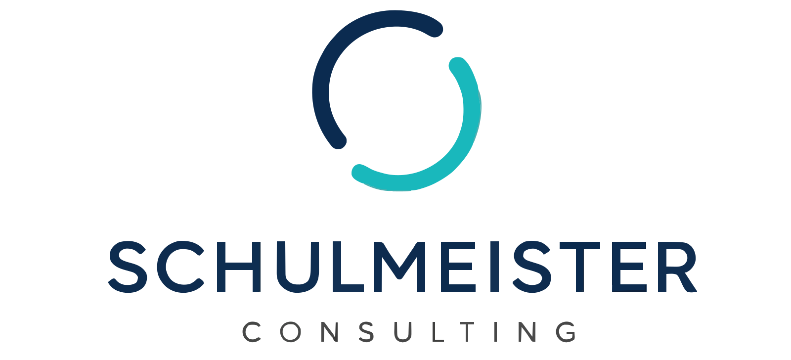 Schulmeister Consulting